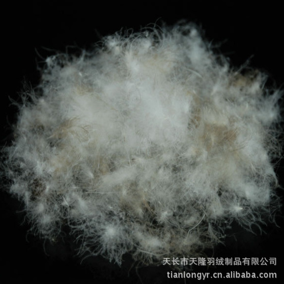 【熱銷】供應推薦廠家大量銷售羽絨 水洗鵝毛羽絨 水洗羽絨圖片,【熱銷】供應推薦廠家大量銷售羽絨 水洗鵝毛羽絨 水洗羽絨圖片大全,天長市天隆羽絨制品-8-