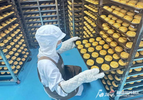 中秋佳節(jié)將至，烏魯木齊食品與羽絨制品企業(yè)雙線并進(jìn)迎忙季